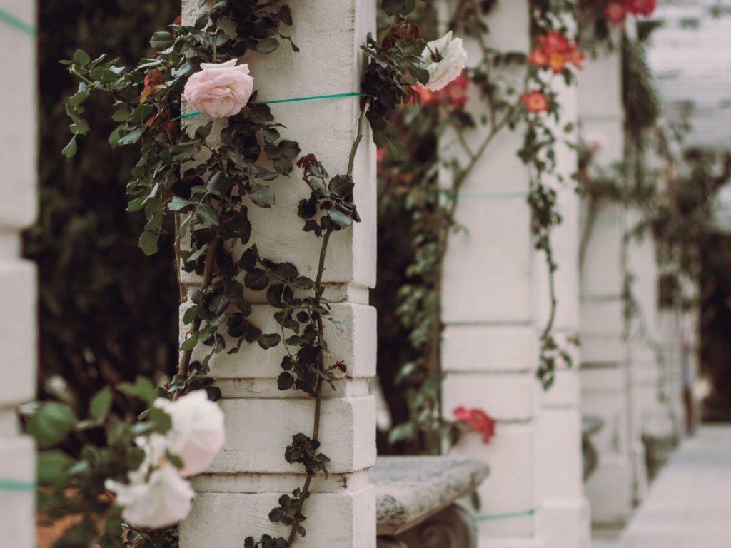 Cei cinci piloni ai stării de bine