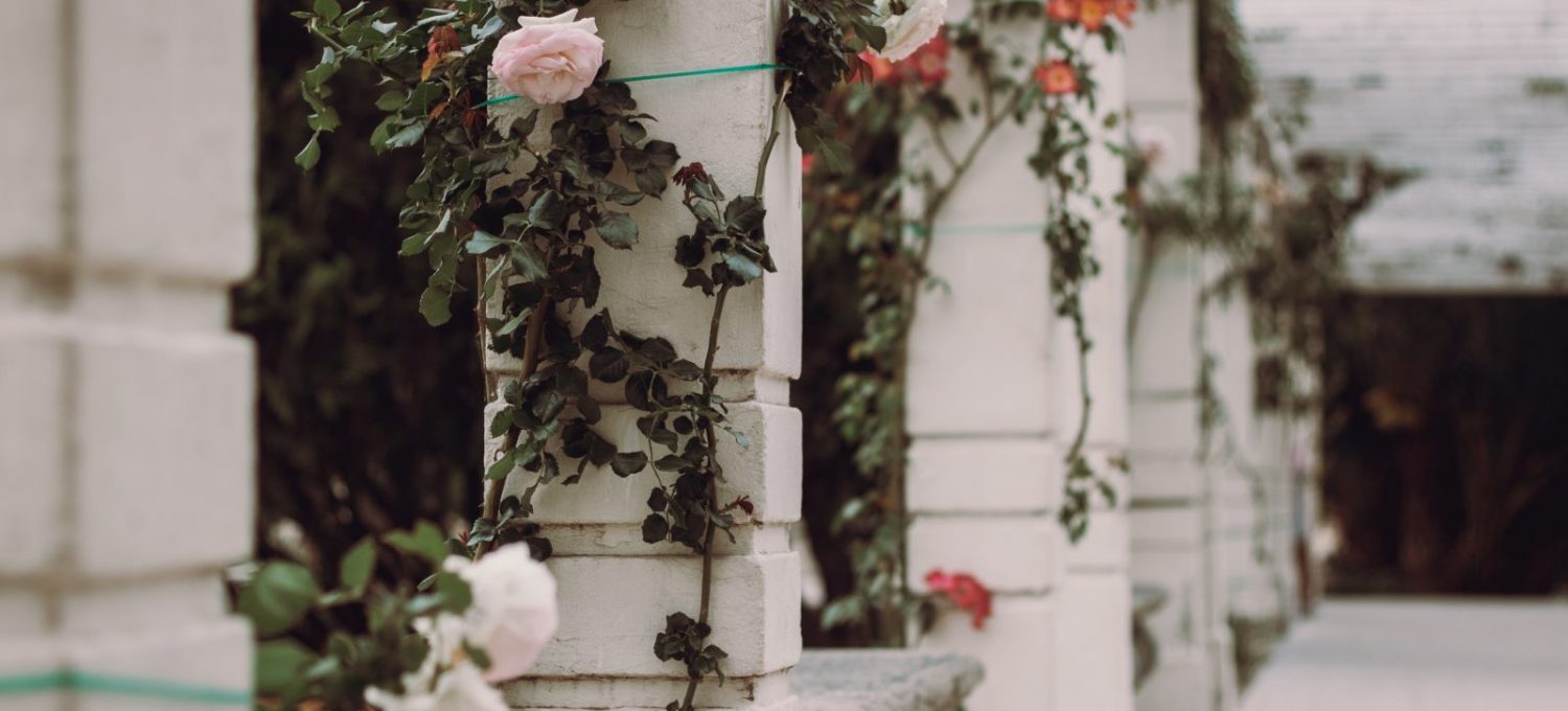 Cei cinci piloni ai stării de bine