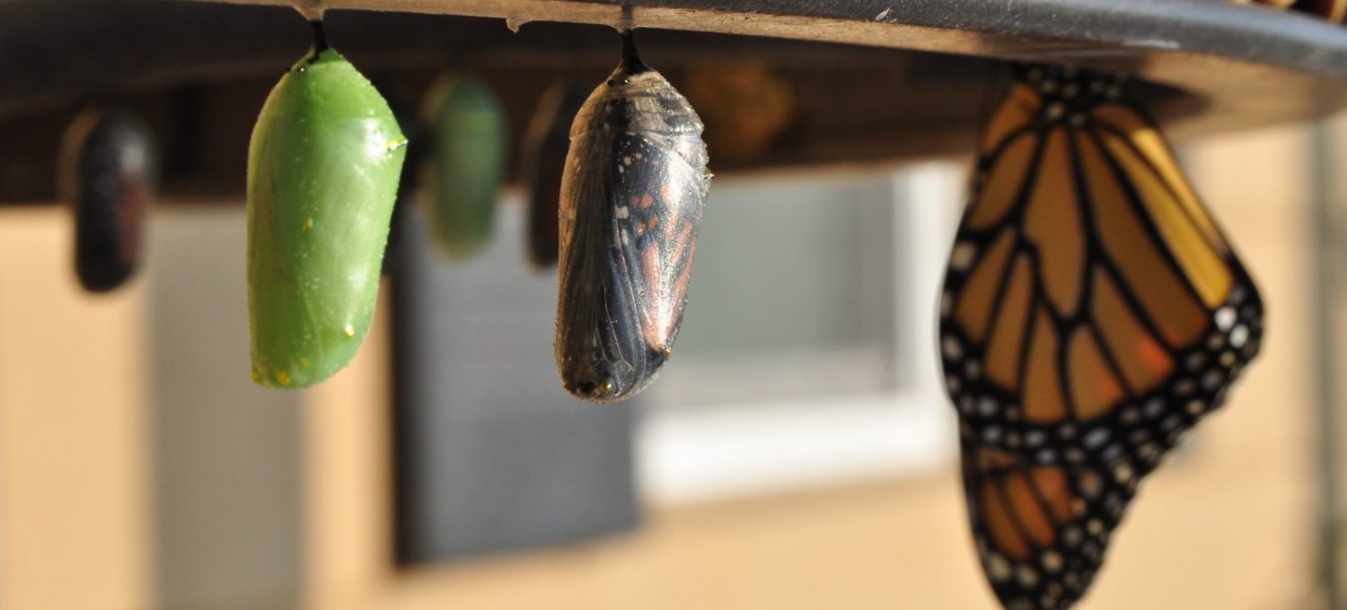 Atunci când schimbarea devine necesară